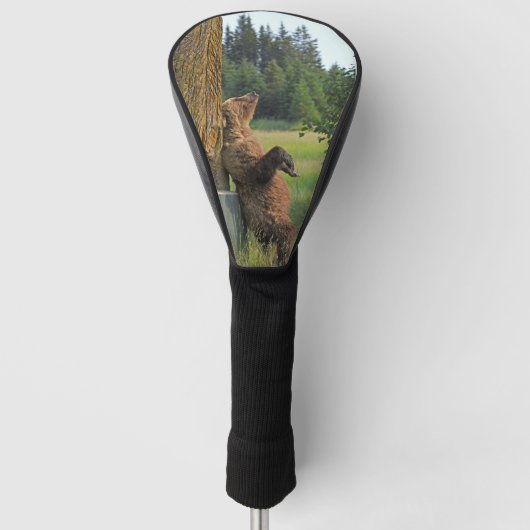 Grizzly Bär Golf Head Cover Headcover (Vorderseite)