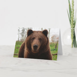 GRIZZLY BÄR HAPPY BIRTHDAY BÄR UMARMUNG KARTEN