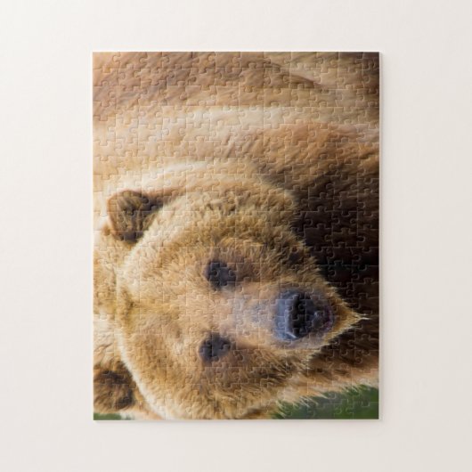 Grizzly-Bär nah genug Puzzle (Vertikal)