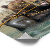 Grizzly Bär spielt im Wasser Poster (Ecke)