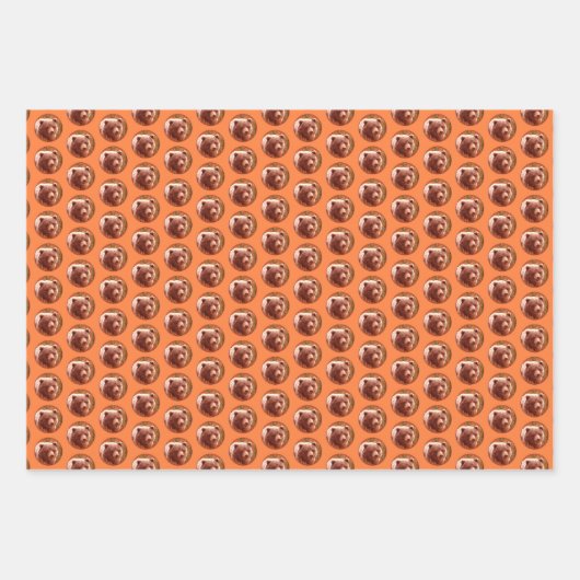 Grizzly Bären Cub in Fireweed Painting Wildlife Ar Geschenkpapier Set (Vorderseite)