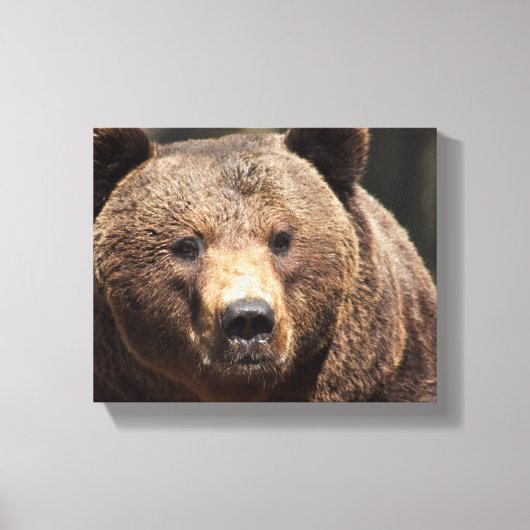GRIZZLY BÄREN FOTOGRAFIE WRAPPED CANVAS LEINWANDDRUCK (Vorderseite)
