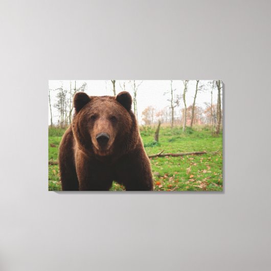 GRIZZLY BÄREN FOTOGRAFIE WRAPPED CANVAS LEINWANDDRUCK (Vorderseite)