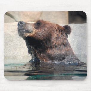 Grizzly Bären spielen im Wasser Mousepad