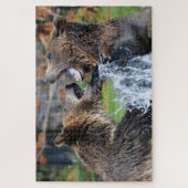 Grizzly Bars kämpfen Jigsaw Puzzle (Vertikal)