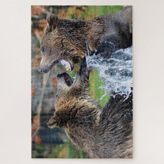 Grizzly Bars kämpfen Jigsaw Puzzle (Vertikal)