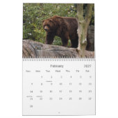 grizzly-bear-017, Grizzlybär Kalender (Feb 2027)
