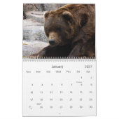 grizzly-bear-017, Grizzlybär Kalender (Jan 2027)