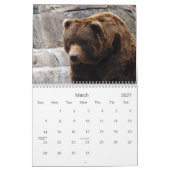 grizzly-bear-017, Grizzlybär Kalender (Mär 2027)