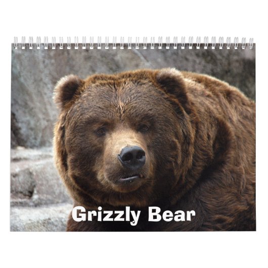 grizzly-bear-017, Grizzlybär Kalender (Titelbild)