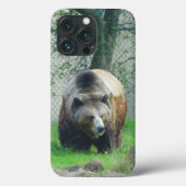 Grizzly Bear #1 iPhone 13 Pro Case (Rückseite)
