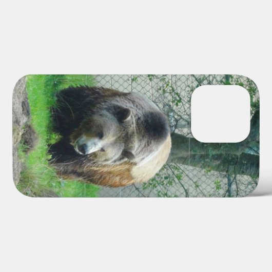 Grizzly Bear #1 iPhone 13 Pro Case (Rückseite (Horizontal))