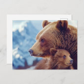 Grizzly Bear 399, GB 399 Postkarte (Vorne/Hinten)