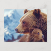 Grizzly Bear 399, GB 399 Postkarte (Vorderseite)