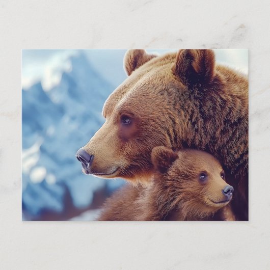 Grizzly Bear 399, GB 399 Postkarte (Vorderseite)