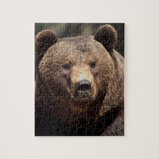 GRIZZLY BEAR 8X10 JIGSAW Puzzle (Vertikal)