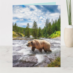 GRIZZLY BEAR ALASKA BIRTHDAY GROSSE GREETKARTEN KARTE