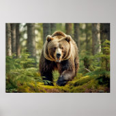Grizzly Bear Animal Nature Majestic Wild Poster (Vorne)