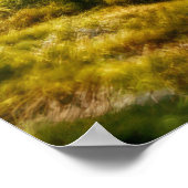 Grizzly Bear Animal Nature Majestic Wild Poster (Ecke)