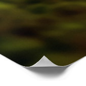 Grizzly Bear Animal Nature Majestic Wild Poster (Ecke)