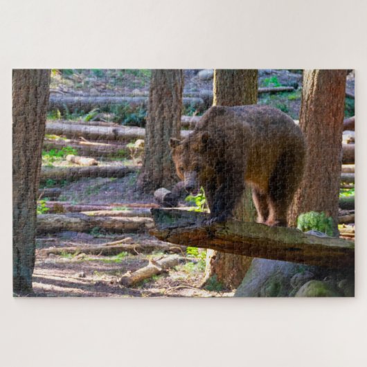 Grizzly Bear bedroht Wildlife Lover Puzzle (Horizontal)