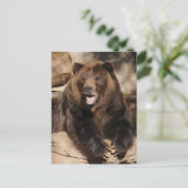 Grizzly Bear Boar Postkarte (Stehend Vorderseite)