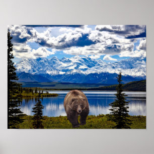GRIZZLY BEAR DENALI PARK ALASKA POSTER