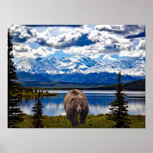 GRIZZLY BEAR DENALI PARK ALASKA POSTER (Vorne)