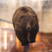 GRIZZLY BEAR FENSTER CLING FENSTERAUFKLEBER (Blatt 2)