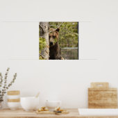 GRIZZLY BEAR FOTOGRAFIE POSTER (Küche)