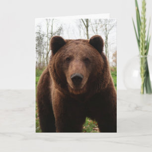 GRIZZLY BEAR HUG FOTOGRAFIE GEBURTSTAGSKARTE KARTE