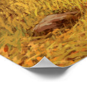 Grizzly Bear in the Rocky Mountains / AF-006bear,g Poster (Ecke)