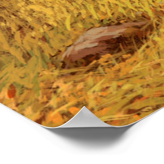 Grizzly Bear in the Rocky Mountains / AF-006bear,g Poster (Ecke)