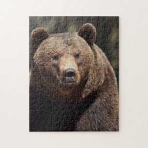 GRIZZLY BEAR JIGSAW PUZZLE