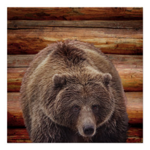 GRIZZLY BEAR LOG CABIN POSTERS POSTER