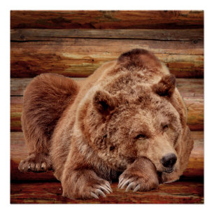 GRIZZLY BEAR LOG CABIN POSTERS POSTER