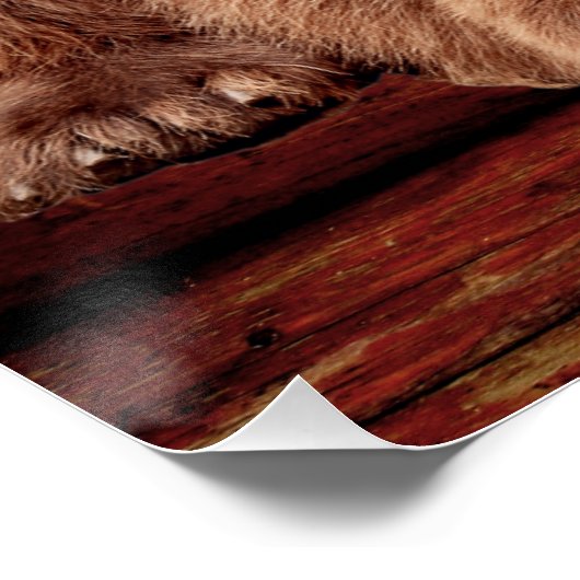 GRIZZLY BEAR LOG CABIN POSTERS POSTER (Ecke)