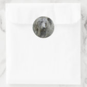 Grizzly_Bear_Lovers Runder Aufkleber (Tasche)