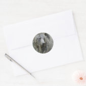 Grizzly_Bear_Lovers Runder Aufkleber (Umschlag)