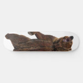 Grizzly Bear - Malerei in Acrylfarben Skateboard (Horizontal)