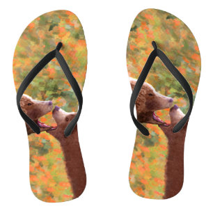 Grizzly Bear Mama and Cub Painting - Wildlife Art Badesandalen