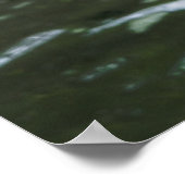 Grizzly Bear Nah-Up Poster (Ecke)