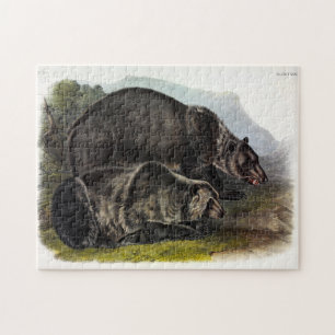 Grizzly Bear (Nordamerikanischer Braunbär) - Audub Puzzle