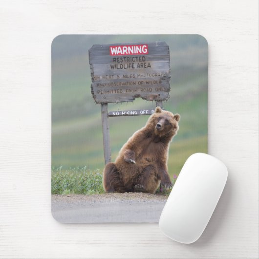 Grizzly Bear Plays With Sign Mousepad (Mit Mouse)