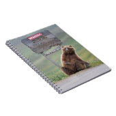 Grizzly Bear Plays With Sign Notizblock (Rechte Seite)