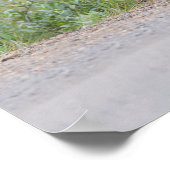 Grizzly Bear Plays With Sign Poster (Ecke)