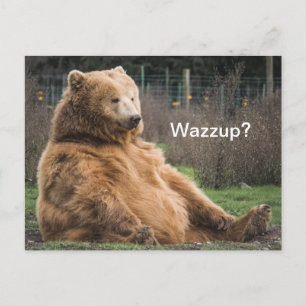Grizzly Bear Postkarte