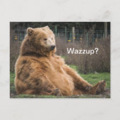 Grizzly Bear Postkarte (Vorderseite)