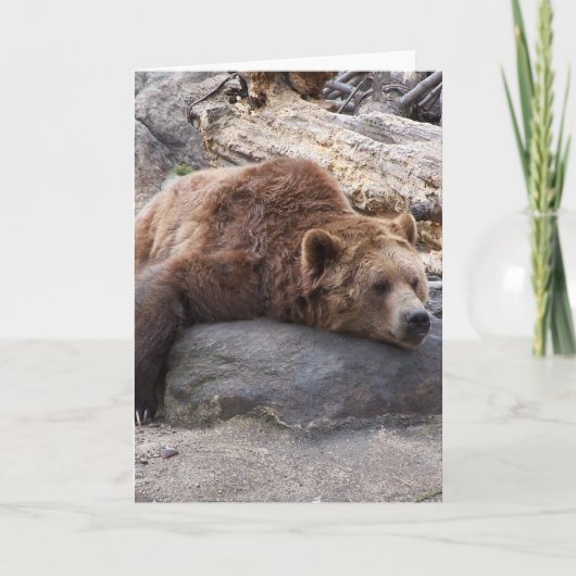 Grizzly Bear Ruhen auf dem Felsen Karte (Vorderseite)