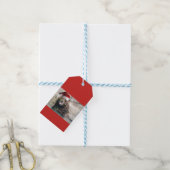 Grizzly Bear Santa Claus Geschenkanhänger (Mit Garn)